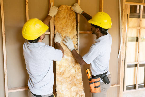 Types of Insulation We Offer in Fair Oaks, CA